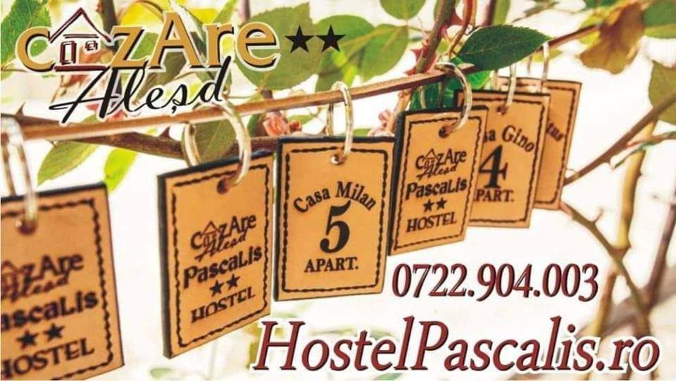 Hostel Pascalis Alesd Exterior photo